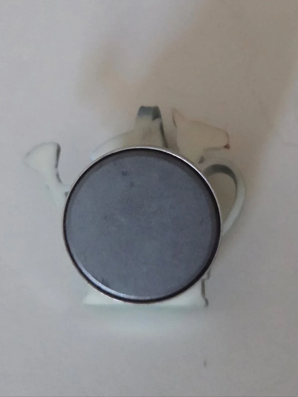 Hallmark Marjolein Bastin Magnetic Clip Watering Can Refrigerator Magnet
